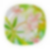 Тарелка столовая мелкая Luminarc Freesia, D=28 см