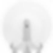 Тарелка столовая мелкая Luminarc Louise, D=25 см L4210