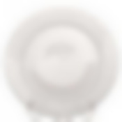 Тарелка столовая мелкая Attribute Rosette, D=25 см