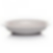 Тарелка столовая глубокая Attribute Rosette, D=20 см