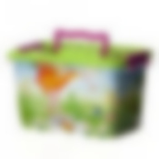 Контейнер детский прямоугольный "Феи" 4 л (цвет в ассортименте)