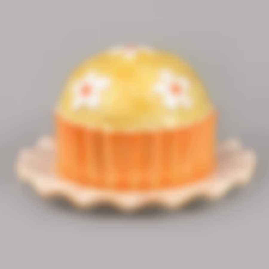 Блюдо с крышкой Бисквит, 24,5*24,5*14 см