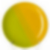 Тарелка столовая мелкая Gotoff, D=25,5 см