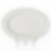 Тарелка овальная «Saturn» 24*17 см