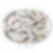 Поднос vendome, 45*32 см