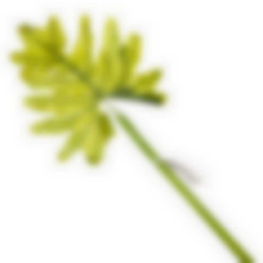 Лист декоративный LaSella, длина 78 см