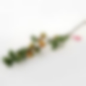 Яблоки желтые на ветке LaSella, 86 см