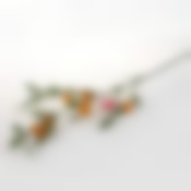 Мандарины на ветке 86 см