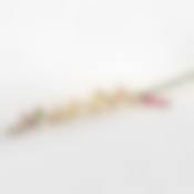 Ветка орхидеи белая 89 см