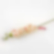 Ветка орхидеи 89 см