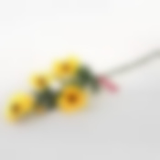 Ветка герберы