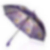 Зонт "Цветы" (полуавтомат) D95см NEW