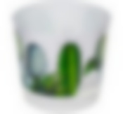 Кашпо НИКА ДЕКО D120мм 0,8л с прикорневым поливом кактусы