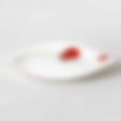 Тарелка обеденная Luminarc Insouiance Bone, D=27 см