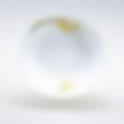 Салатник Domenik Paradise Bird, D=23 см