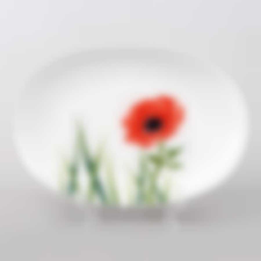 Тарелка столовая мелкая Domenik Blooming, D=26 см