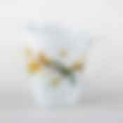 Кружка Domenik Paradise Bird, 360 мл