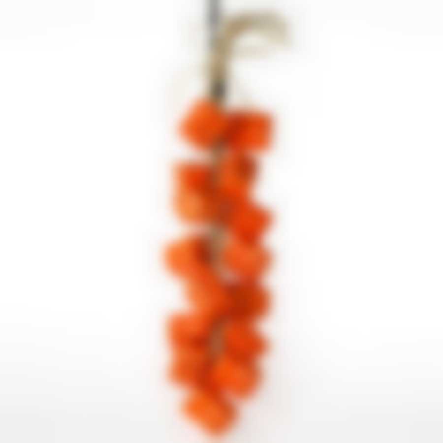 Декоративное украшение для кухни House & Holder "Болгарский перец"