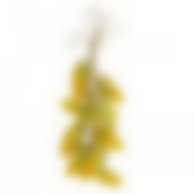 Декоративное украшение для кухни House & Holder "Вязанка кукурузы"