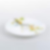 Тарелка закусочная (десертная) Domenik Paradise Bird, D=19 см