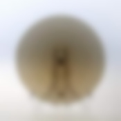 Тарелка десертная Luminarc Director Eclipse, D=19,6 см