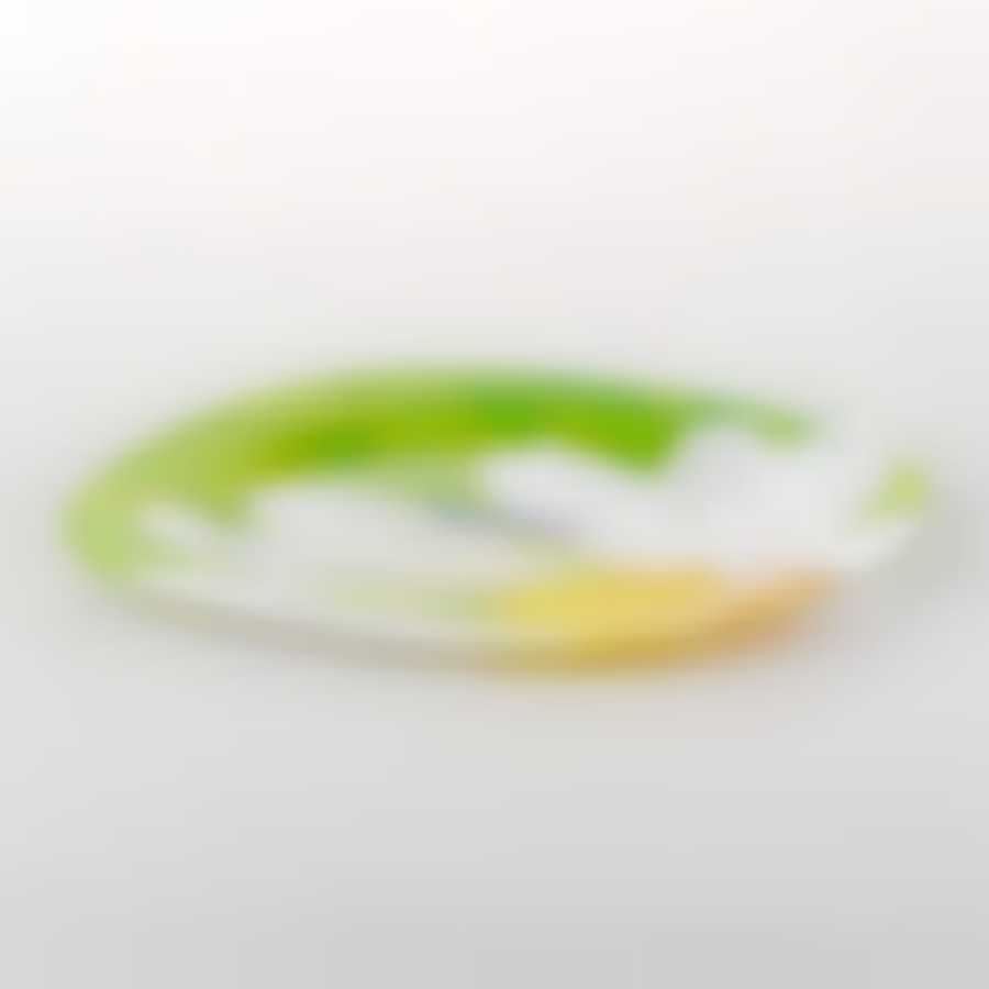Тарелка столовая мелкая Luminarc Carine Paquerette Green, D=28 см