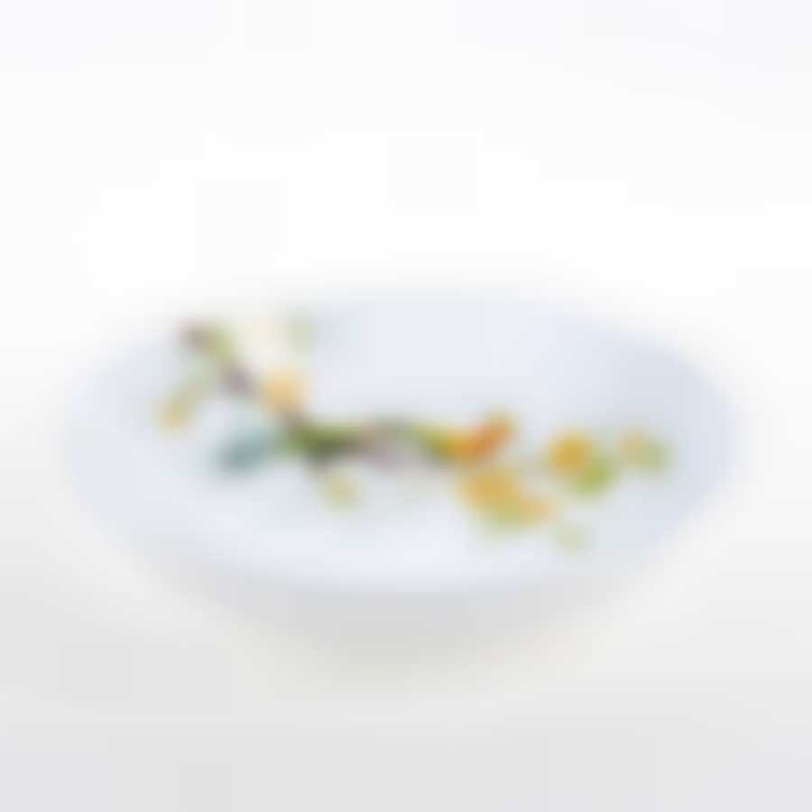 Тарелка столовая глубокая Domenik Paradise Bird, D=21 см