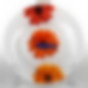 Тарелка десертная A LA FOLIE CORAIL 19,5 см