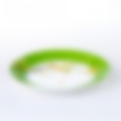 Тарелка столовая мелкая Domenik Paradise Bird, D=24 см