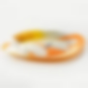 Тарелка столовая мелкая Luminarc Carine Paquerette Melon, D=28 см