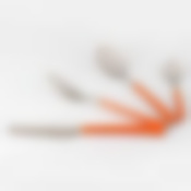 Набор столовых приборов на 6 персон EXOTICA, 24 предмета