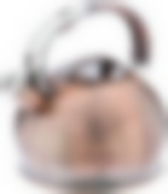 Чайник со свистком "Bayerhoff", BH - 426 2,5 л. медь