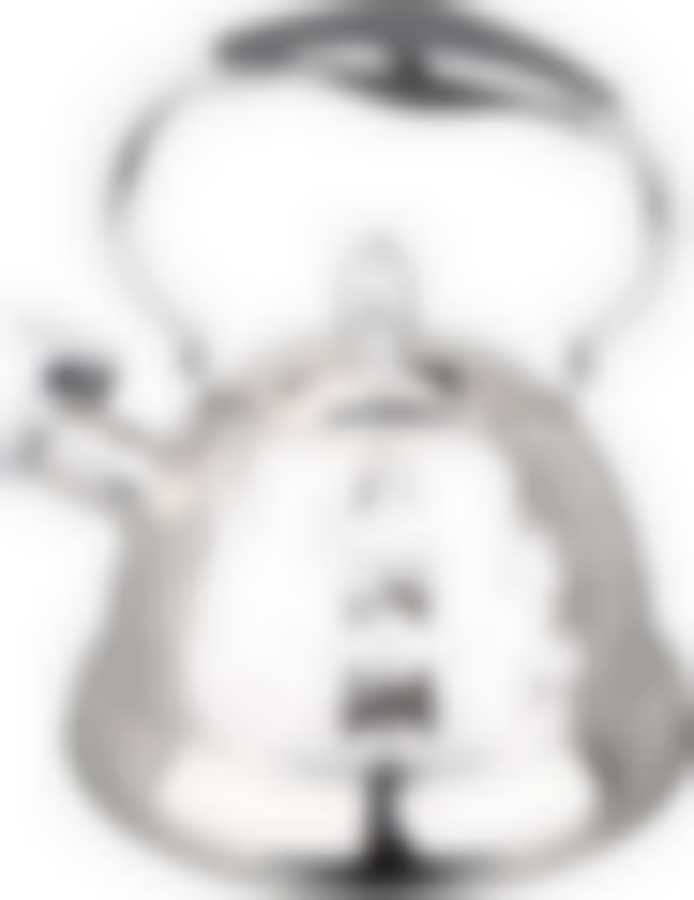 Чайник со свистком "Bayerhoff", BH - 427 3,2 л. металлик