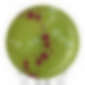 Тарелка закусочная (десертная) Luminarc Kashima Green, D=20 см