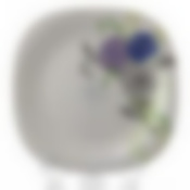 Тарелка столовая мелкая Luminarc Felicia, D=25 см