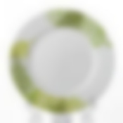 Тарелка десертная "ГРИН ФОРЕСТ", диаметр 19 см