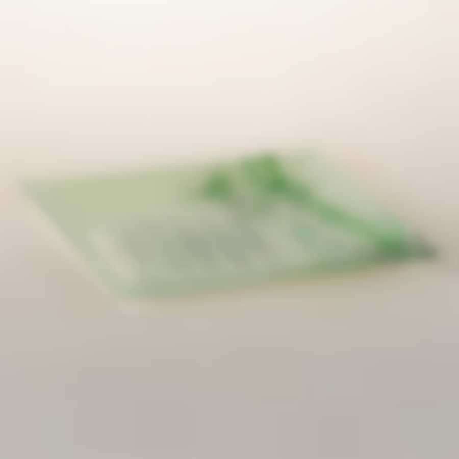 Тарелка House & Holder "Бамбук", цвет: зеленый, 20 х 20 х 1,9 см