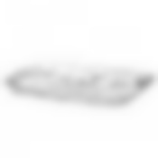 Поднос Изобилие 280*410 мм (прозрачный)