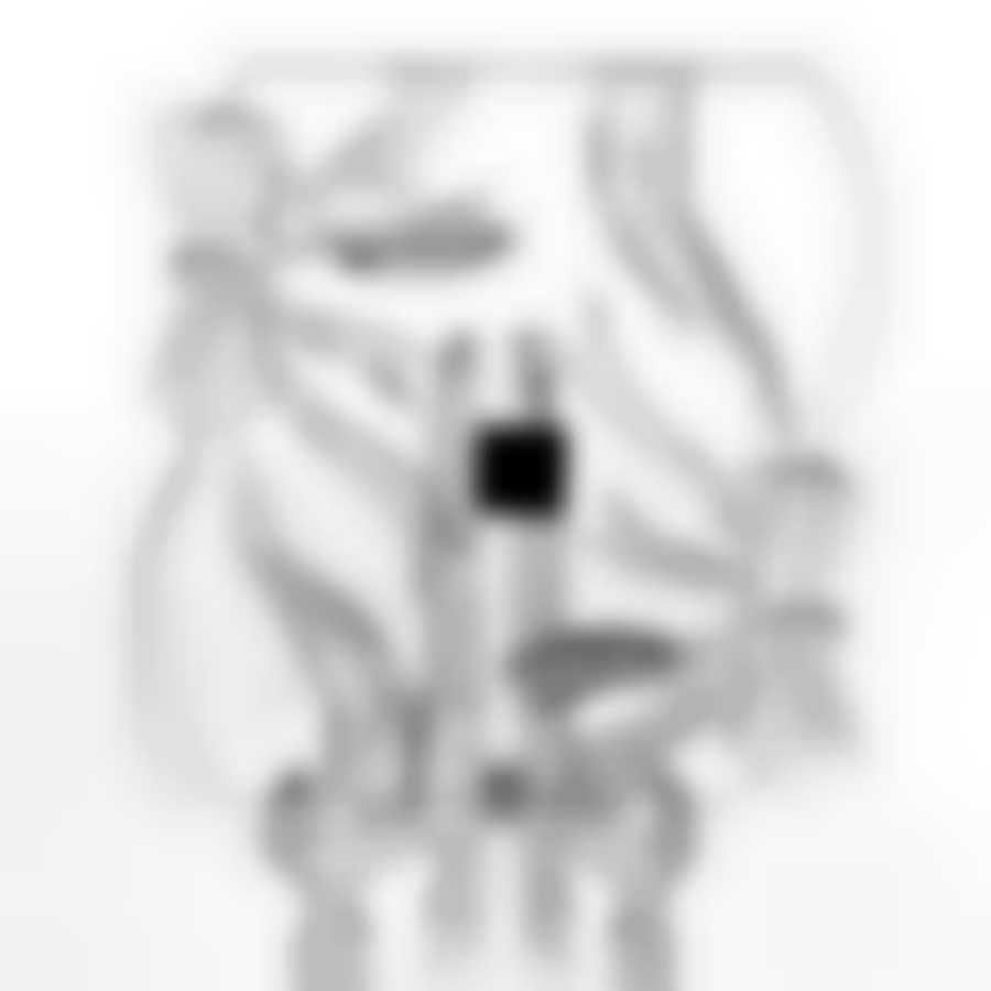 Набор тарелок RIBBON, 6 предметов