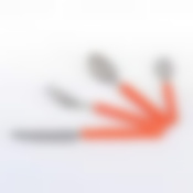 Набор столовых приборов fan shef koral, 24 предмета