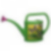 Лейка с рассеивателем Рассвет 3,5 л (цвет в ассортименте)