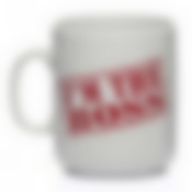 Кружка 300 ф.306 БОСС