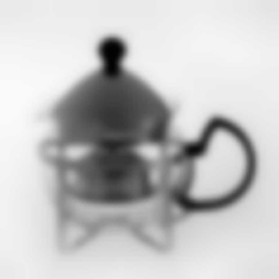 Чайник заварочный Gotoff 500 мл, цвет: серебристый