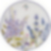 НАБОР ТАРЕЛОК ОБЕДЕННЫХ "ПРОВАНС ЛАВАНДА" 2 ПР. 25,5cм