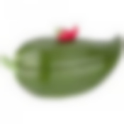 БЛЮДО С КРЫШКОЙ "PEPE DEL CILE" 19.5*9 СМ. ВЫСОТА=10.5см