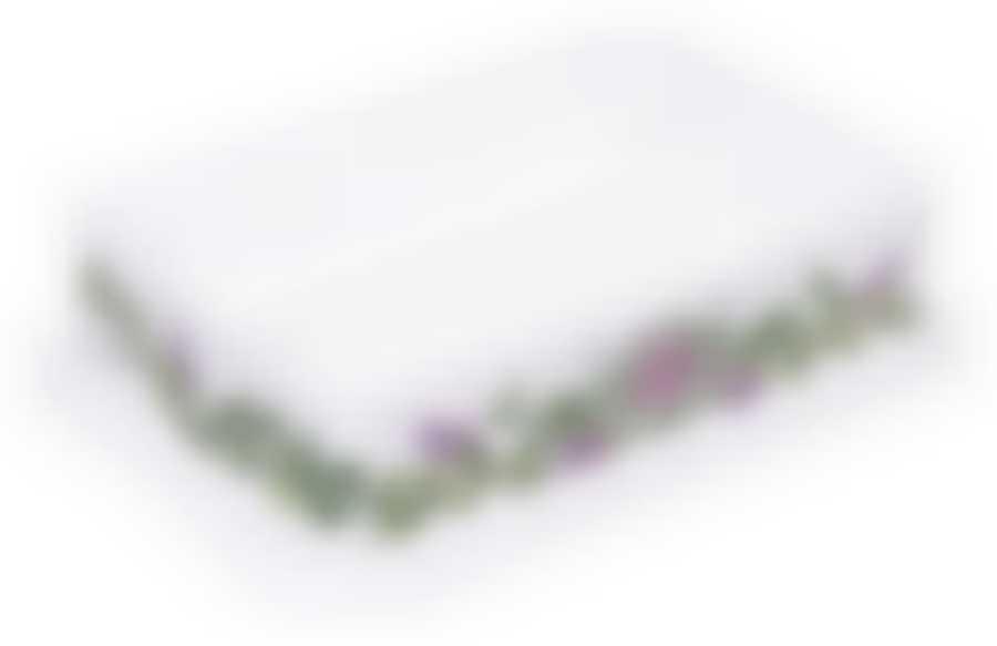 Сушилка для посуды ДЕКО (стрелиция) (цвета в ассортименте)