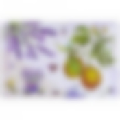 Набор подстановочных Салфеток "ПРОВАНС ЛИМОНЫ"  43,5*28,5 см из 4шт