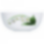 Салатник УАЙТ ОРХИД 12см