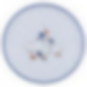 ПОДНОС СЕРВИРОВОЧНЫЙ AGNESS Гуси диаметр 40 см