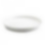 Тарелка обеденная ЛАЙНЗ 25см